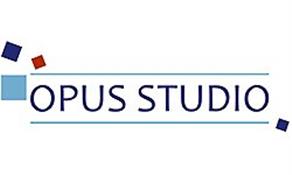 Opus Studio Curtain Poles