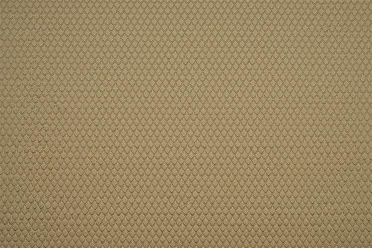 Beaumont Textiles Infusion Adriana Caramel Fabric