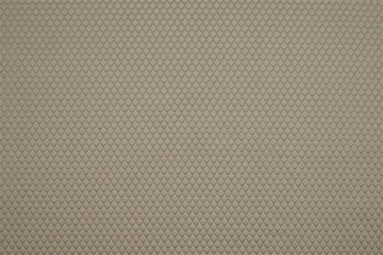 Beaumont Textiles Infusion Adriana Natural Fabric
