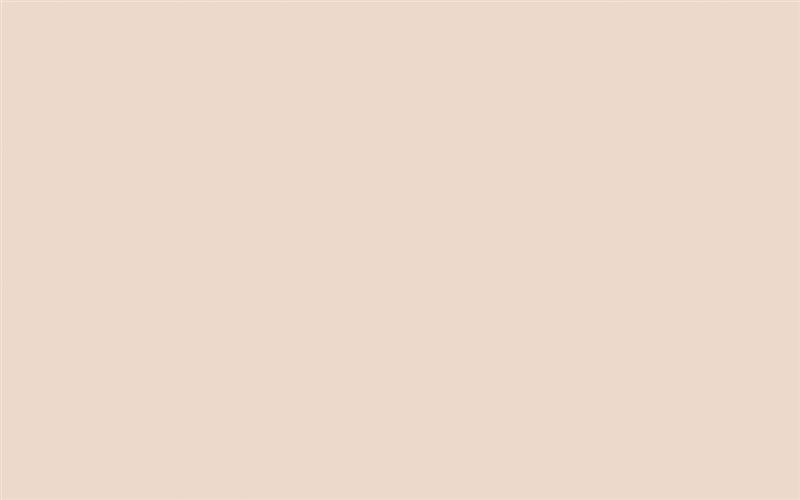 Little Greene Paint China Clay Mid 𨅶)