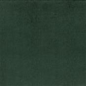Iliv Plains & Textures Brightwell Evergreen Fabric