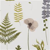 Clarke & Clarke Botanica Herbarium Blush Wallpaper
