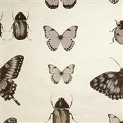 Clarke & Clarke Botanica Papilio Charcoal/Gold Wallpaper