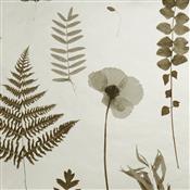 Clarke & Clarke Botanica Herbarium Charcoal/Gold Wallpaper
