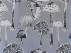 Voyage Natural History Volume 1 Toadstools Antique Fabric