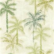 Clarke & Clarke Breegan Jane Palmyra Palm Wallpaper