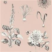 Clarke & Clarke Secret Garden Roseraie Blush Wallpaper